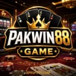 PAKWIN88 GAME