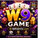 W9 Game